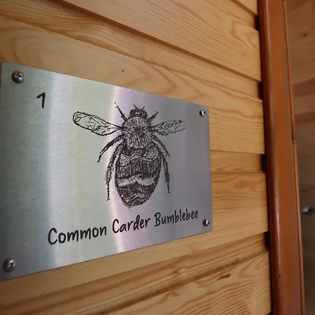 Camping Ghyll Head Hive Pod Village